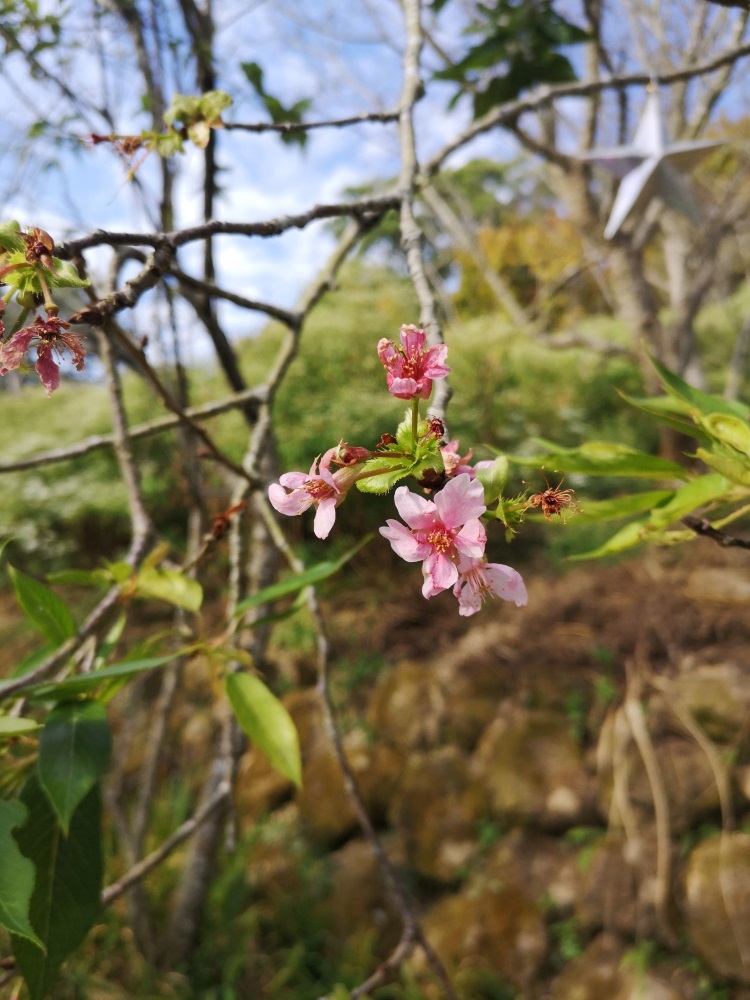 赴一场台湾休闲农场(上篇)
