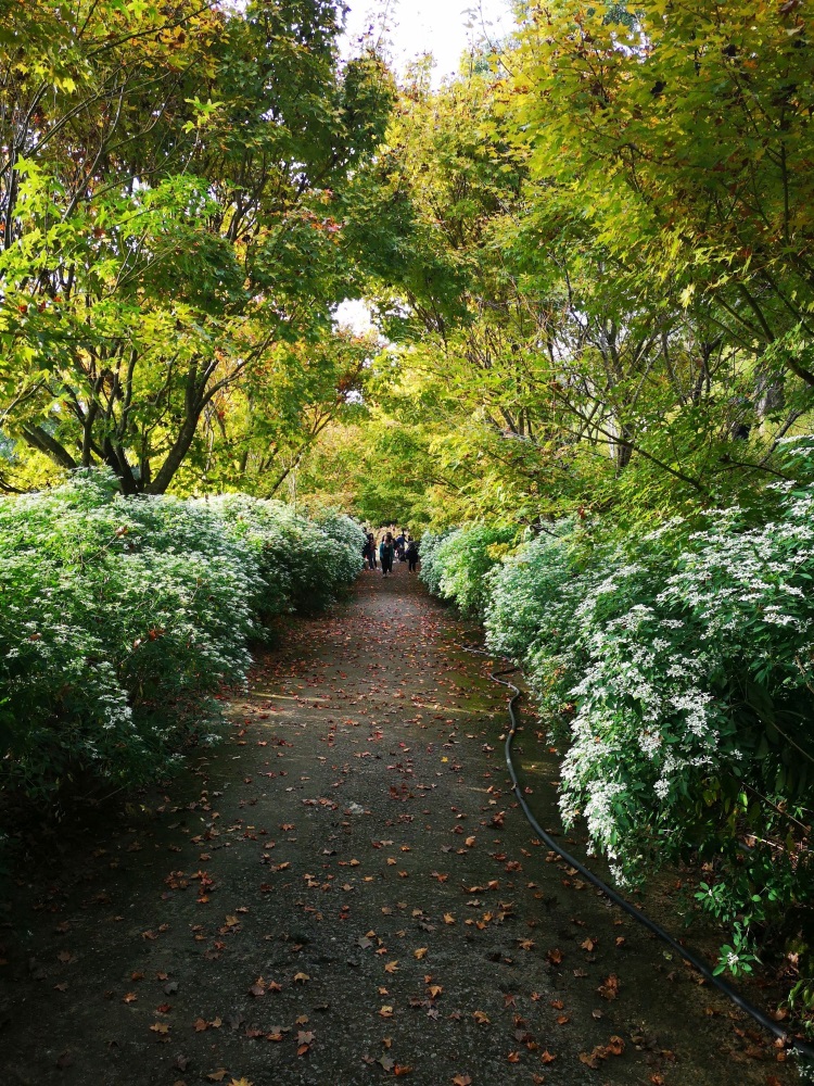赴一场台湾休闲农场(上篇)