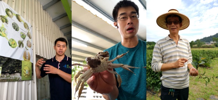 Taiwanese Leisure Farm 1