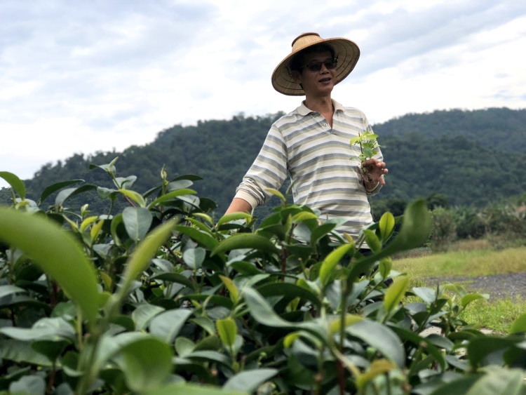 聆听农家的故事(下篇)