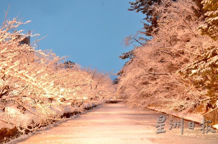 日本东北‧冬雪仙境