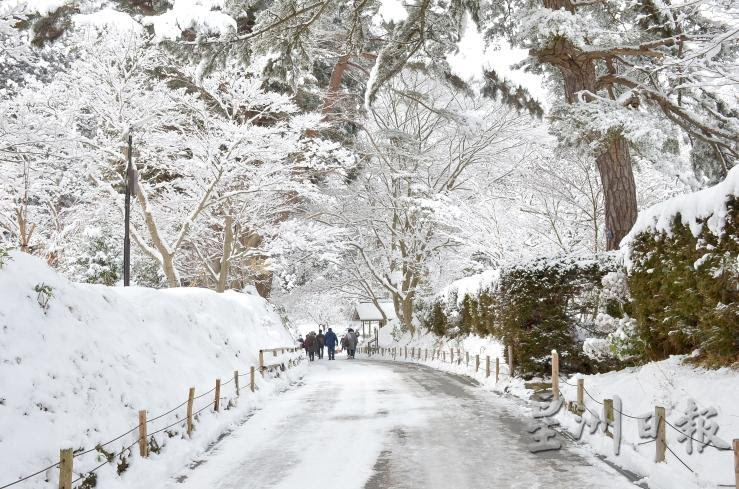日本东北‧冬雪仙境