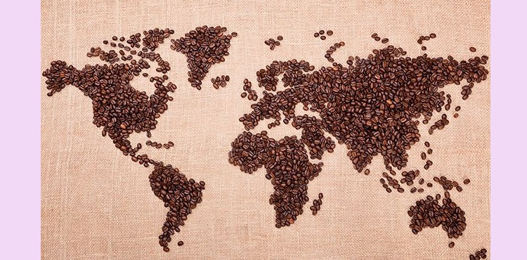 In Search of the Oldest Arabica Coffee Tree— by Leesan