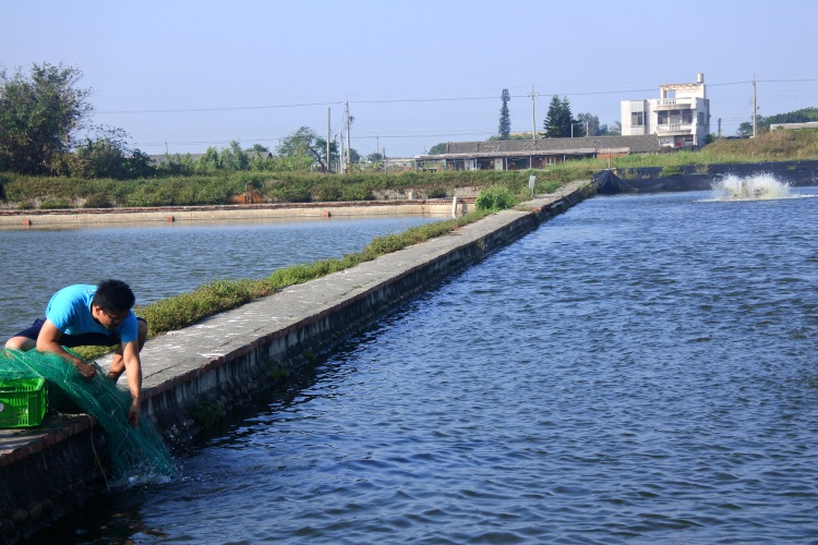 台湾休闲农场 美景佳肴藏着爱