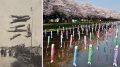 Koinobori 120x67