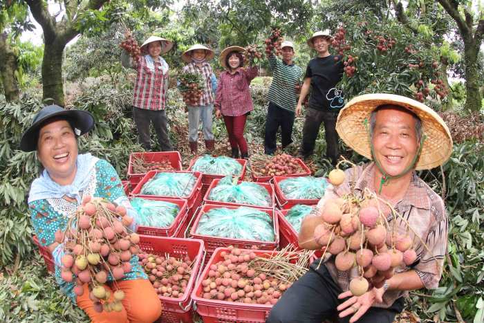 台湾休闲农场:幸福经济