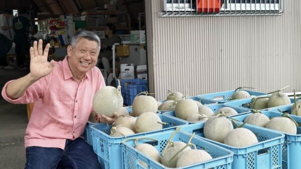 Leesan Hokkaido Melon 600x338