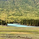 cpyr48 img 0929
